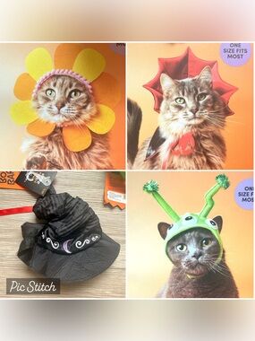 New Halloween Pet Cat Costumes - Witch Hat, Alien, Vampire, and Flower
